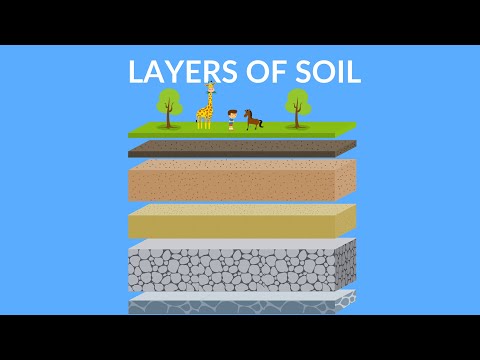 Video: Hva er de forskjellige jordlagene?