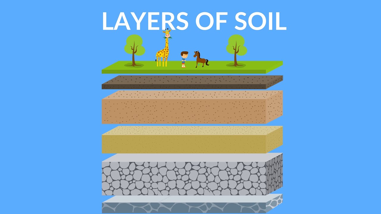 soil profile for kids