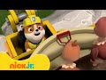 Patrulha Canina | Melhores Resgates de Animais de Fazenda! com Chase e Marshall | Nick Jr.