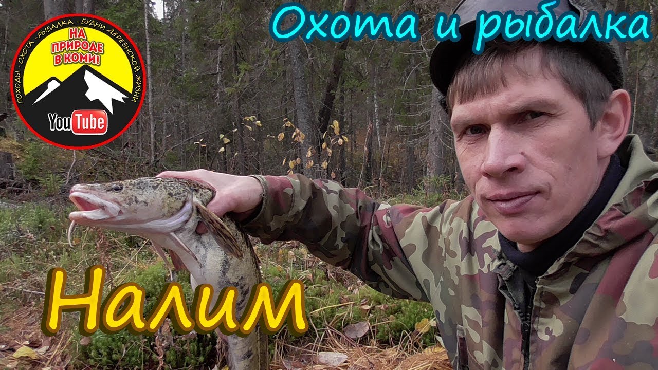 Налим в волге