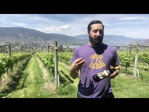 Moon Curser Vineyards