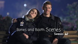 Bones & Booth Scenes (season 12) [1080p]