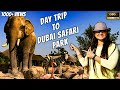 Dubai Safari Park | Dubai Zoo | Dubai Safari | English Vlog | Safari Park in Dubai | Zoo in Dubai