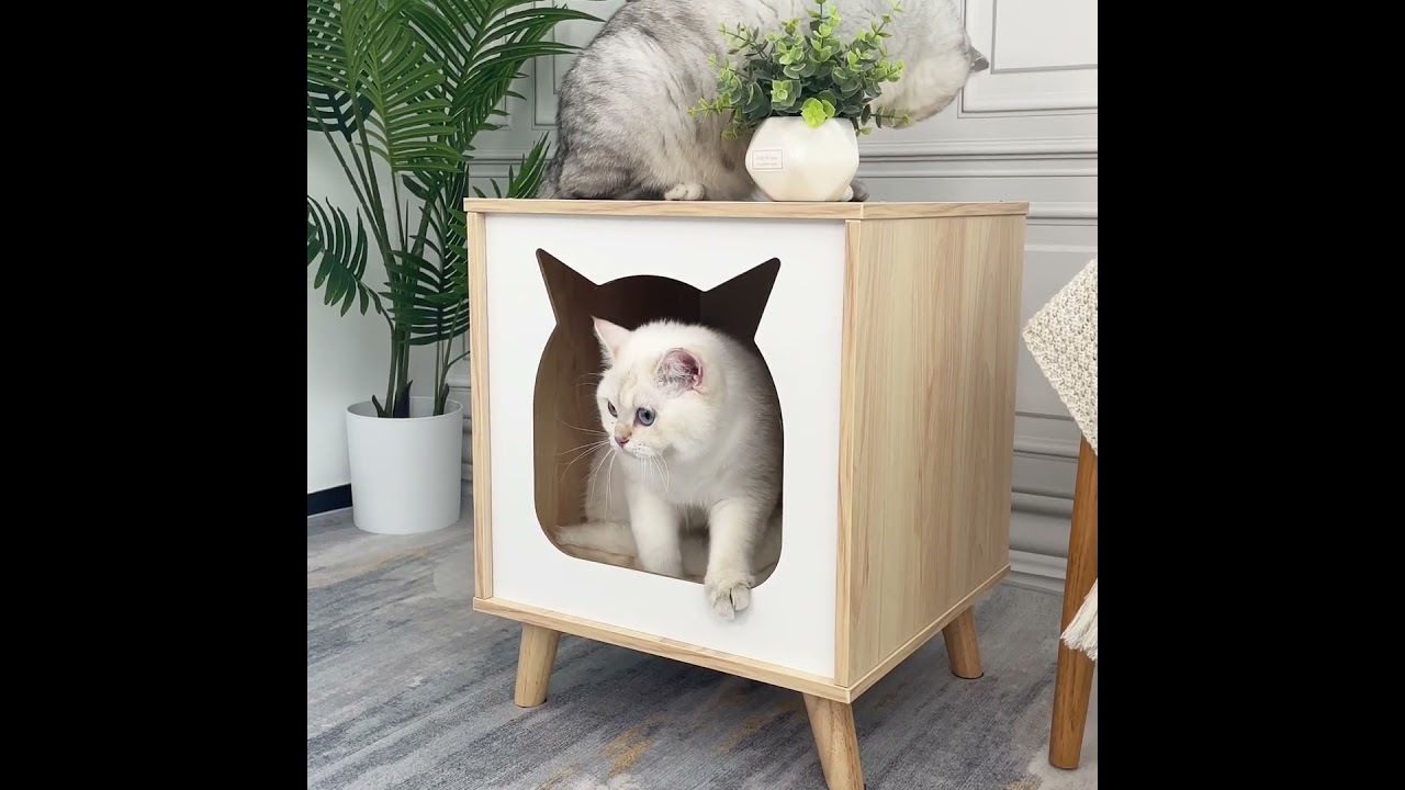 Cat Furniture in Style! 💖