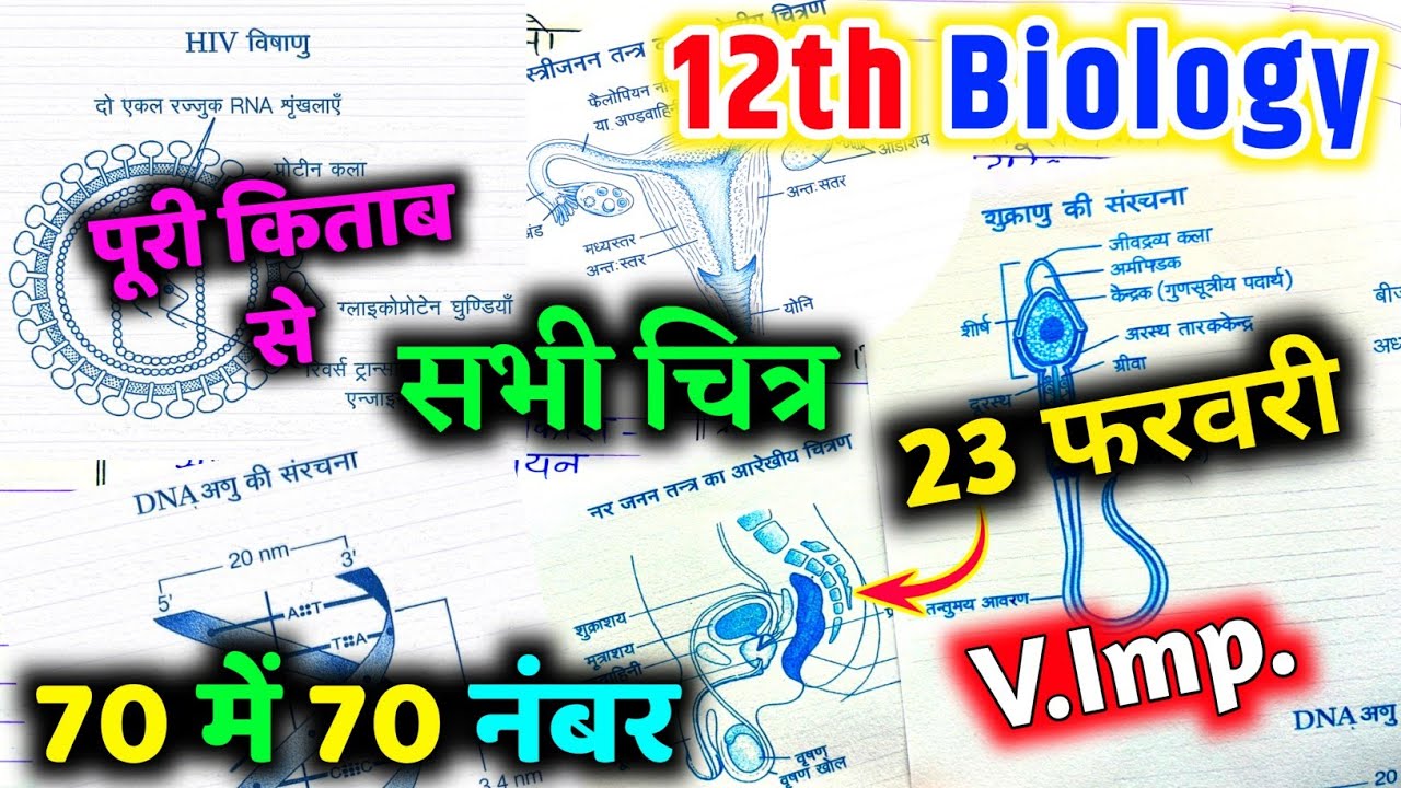 12th biology सभी महत्वपूर्ण चित्र / biology important diagram / सम्पूर्ण किताब के important diagram🔥