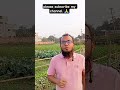যদি হতাম নারী। If I were a woman.#female #femelyfamily #women #comedy #sad #probashi