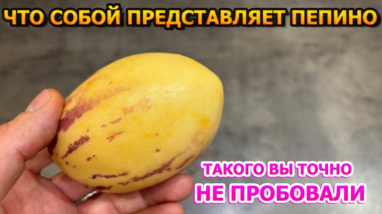 ЭКЗОТИЧЕСКИ ДЫННАЯ ГРУША! Впервые попробовал Пепино - смесь дыни и груши! Стоит ли покупать?