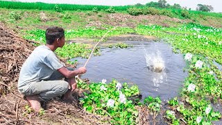 Fishing Video || Village boys are very skilled and experienced in fishing || Fish catching trap
