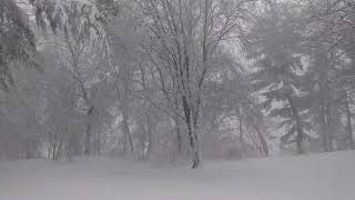 Noreaster 1