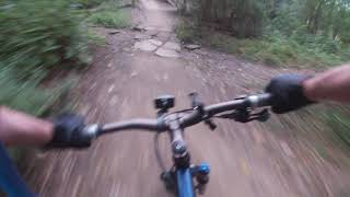 Maple Lake East/Hickory Smoked Trail