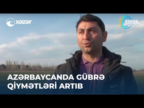 Video: NPK qiymatlari: o'g'itdagi raqamlar nimani anglatadi