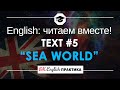 #5 Sea World (Морской мир) 📘🇺🇸 Читаем вместе на английском языке короткие английские рассказы