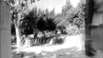 Dağhan - Bodrum Song Dağhan - Bodrum Song