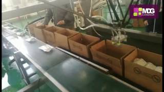 MDGroup Conosur® - Robot Flexpicker™ ABB