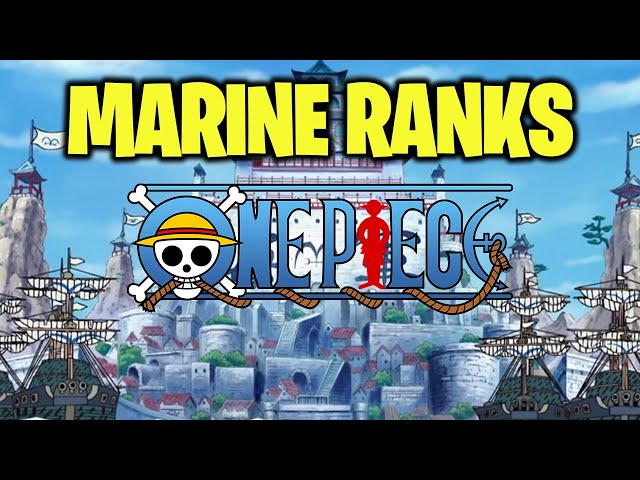 One Piece: Marine Ranking System (Explained)