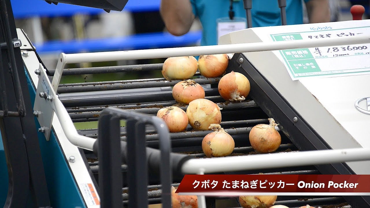 クボタ　たまねぎ　オニオンハーベスター　ピッカー　KOP-1000 収穫機　堀取機　程度良好　長崎発　KUBOTA クボタ たまねぎ オニオンハーベスター ピッカー KOP-1000 収穫機 堀取