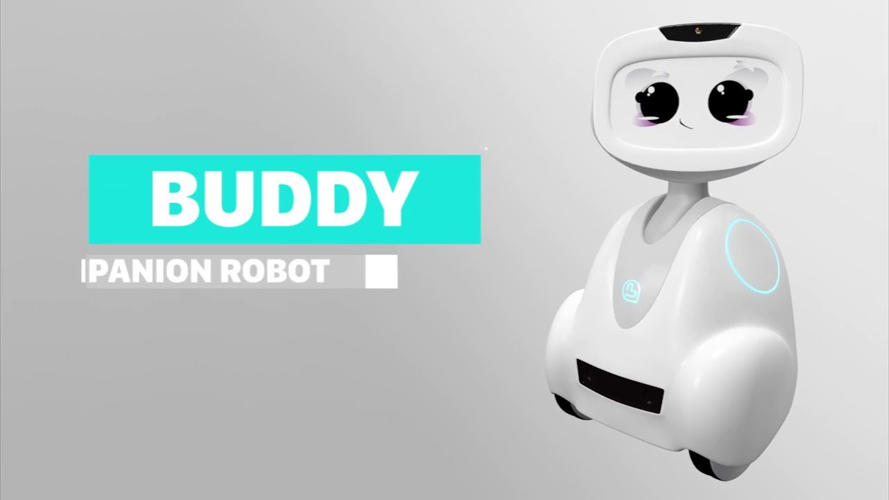 Робот бади. Робот buddy. Робот компаньон. Игра робот Бадди. Робот buddy для пожилых.