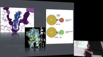 Biophysics 2019 - Lecture 13
