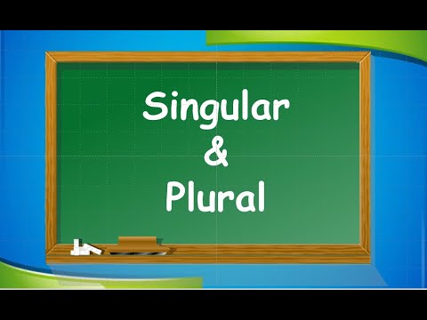 English - Singular and Plural sentences