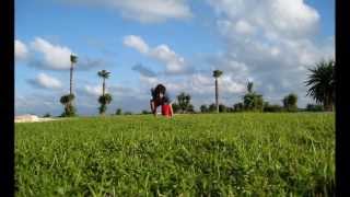 My Own World End Of 2013 Tricking Louay