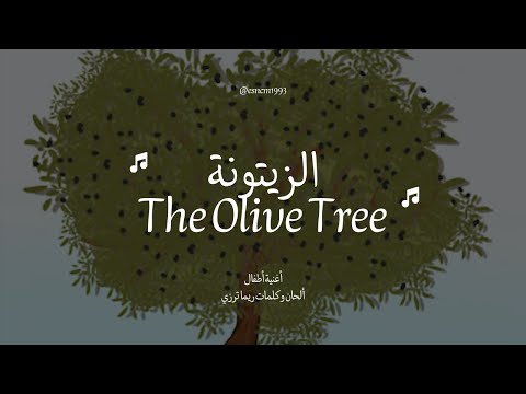 الزيتونة   