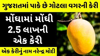 ફળોના રાજા કેરીની ખાટી મીઠી વાતો Mango Information in Gujarati