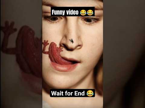 The End 4 Shorts Fails Funnyvideo Trendingvideo