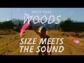 Woods - 