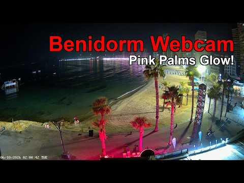 BENIDORM LIVE WEBCAM 🇪🇸 🔴 LIVE: Benidorm Levante Beach NOW! 🌊🏖️