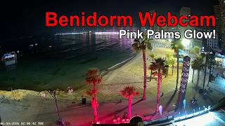 Benidorm Live Webcam Live Watch Benidorm Resort Night Beach Now