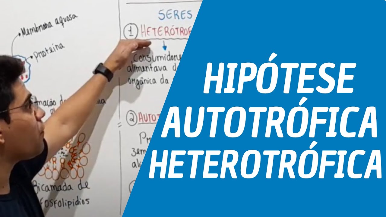 HIPÓTESE - AUTOTRÓFICA e HETEROTRÓFICA - Origem da vida - Prof. Emerson ...