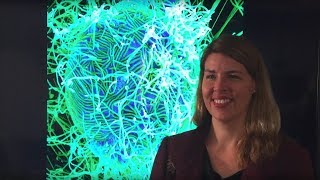 A Q A with Dr Erica Ollmann Saphire