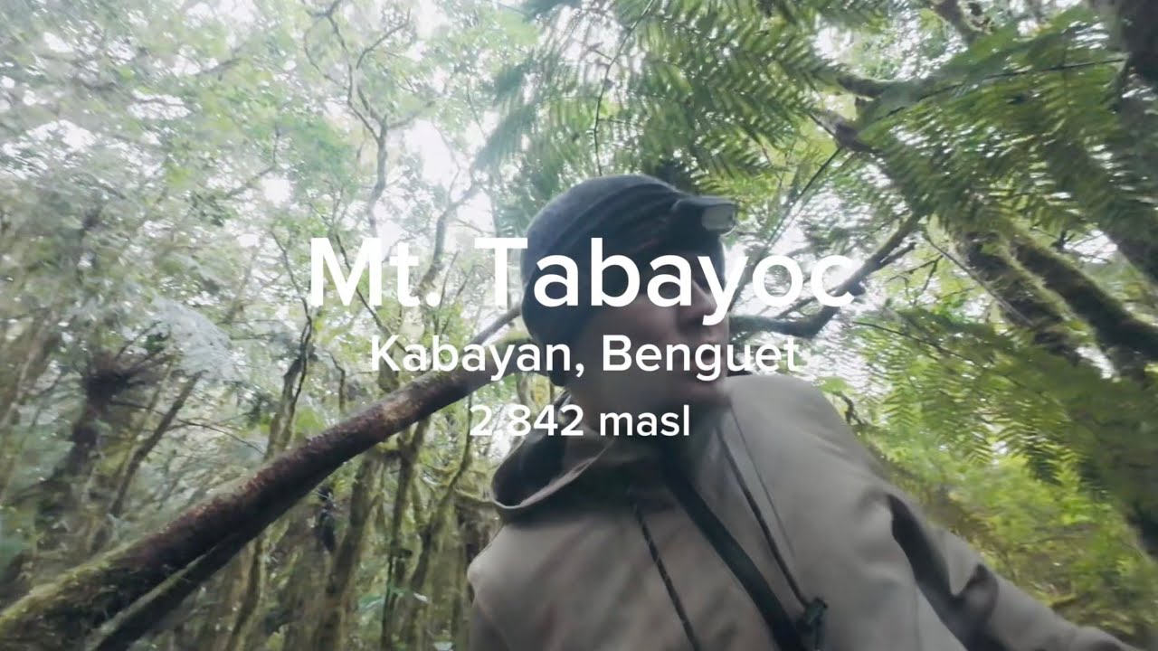 Descending Mt. Tabayoc alone. - Kabayan, Benguet