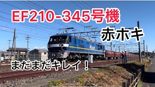 EF210-345号機赤ホキ　313系通過