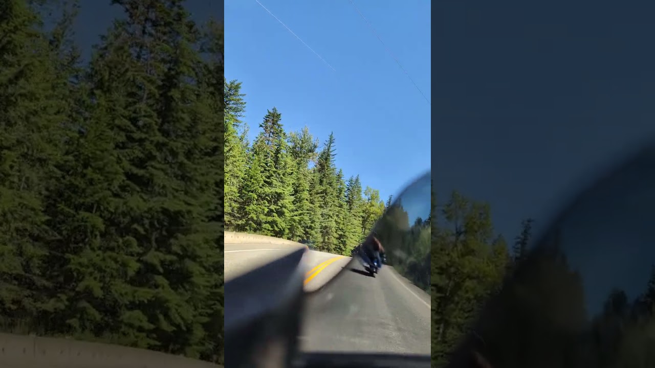 HWY 6 East, to the ferry HD approved 💯👍😝😉 an absolute must ride BC Arrow lakes, Nakusp