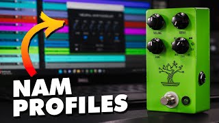 My Tube Screamer Has Been Immortalised (Free NAM Pack)