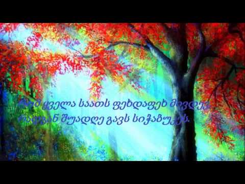 ზვიად მეფარე _  დღე-ცხოვრება