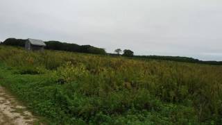 Apple Picking On Long Island Short Video