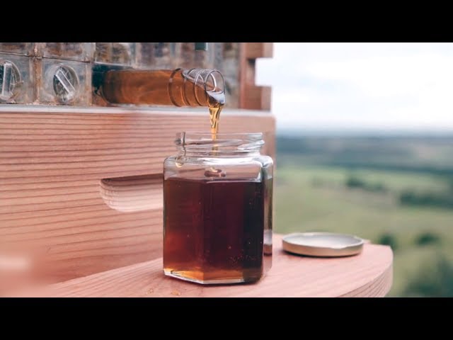 See How This Revolutionary Beehive Design Provides Honey-On-Demand