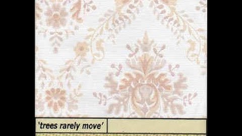 Robert Horton - Trees Rarely Move (FULL CDr ALBUM - 2006 - Celebrate Psi Phenomenon - Experimental)