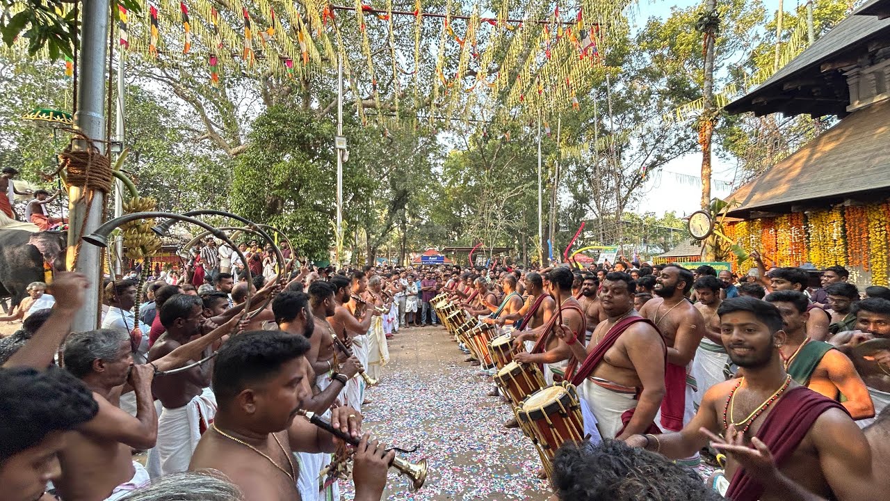 വിയ്യൂർ മണലാറുകാവ് വേല 2026 - പഞ്ചാരിമേളം - പതികാലം - ചെറുശ്ശേരി കുട്ടൻ മാരാർ & ടീം