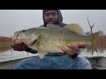 Insane fishing catching GIANT after GIANT ! (Here’s how) #fish #fishing #fishingvideo  #bigfish #diy