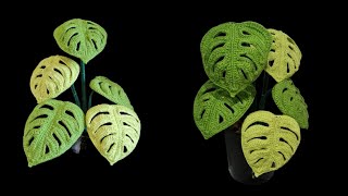 How to crochet Monstera Swiss Cheese Plant/leaves
