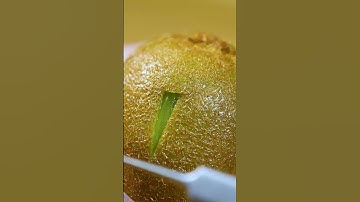 Thumbnail of HOW TO PEEL KIWI LIKE A PRO? #asmr #asmrvideo #asmrfood #asmrsounds #foodporn #fruit #kiwi