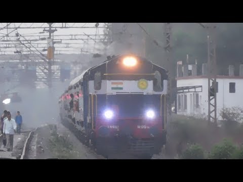 "Early MORNING Chirping Of BIRDS+ A Loco's DENSE HONK"| "50105 Diva- SWV Pass Get Shunt With ED 3D"