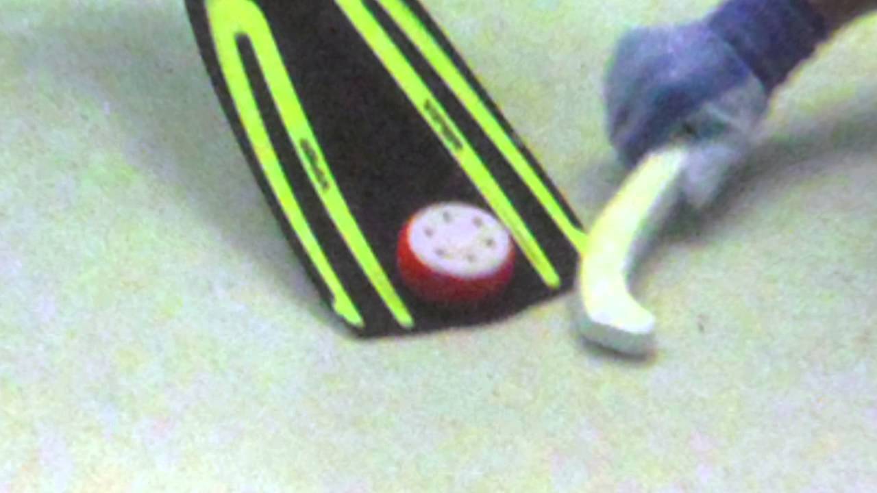 Underwater Hockey Fouls YouTube