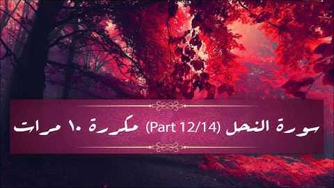 Surah An-Nahl (part 12/14) repeated 10 times - سورة النحل (part 12/14) مكررة 10 مرات