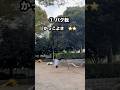 モノを越えた後に使えるアクロバット３選✨