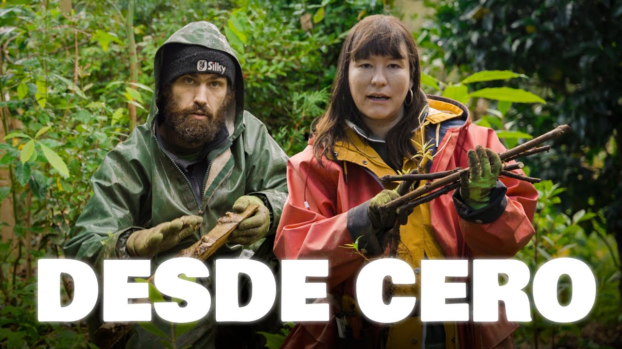 Empieza así una línea agroforestal desde cero (teoría y práctica real)