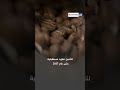 تراجع صادرات البرازيل وتهديدات رسوم ترامب تنعش أسعار القهوة تراجع صادرات البرازيل وتهديدات رسوم ترامب تنعش أسعار القهوة